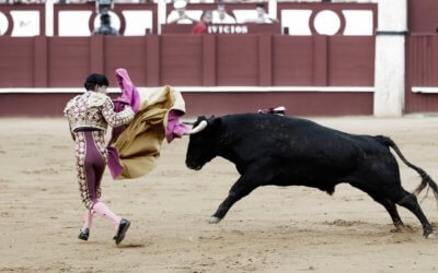 Na Malorke sa opäť konajú býčie zápasy