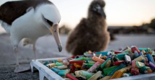 Znečistené životné prostredie / Malorka.sk